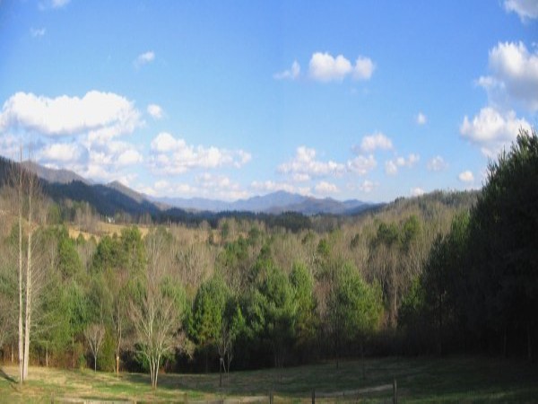 hannan (600 x 450)